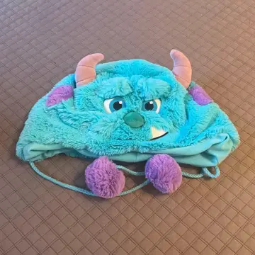 디즈니 샐리 팬캡