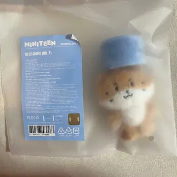 세븐틴 SEVENTEEN 미니틴 데코밴드 디노 찬다리