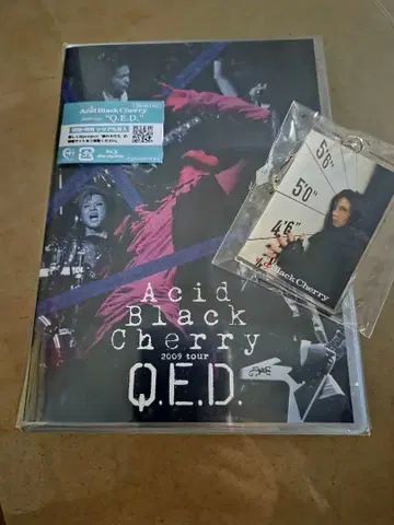 Acid Black Cherry 2009 Q.E.D. & 키링