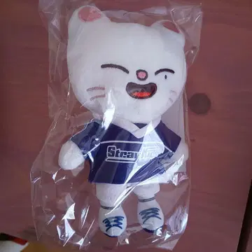 JYP JAPAN POPUP STORE 2024 백참