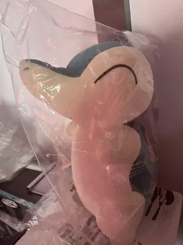 등신대 히노아라시 포켓몬 센터 한정판