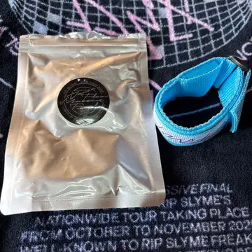 RIP SLYME DFMF 블레스 라이트 블루