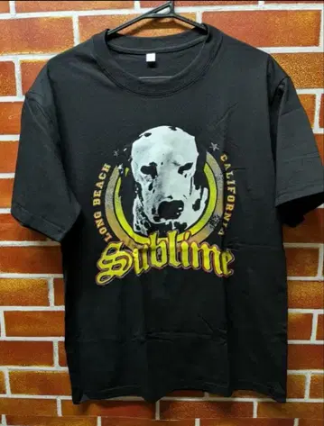 Sublime 블랙 T셔츠