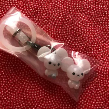 포켓몬 메지루시 액세서리 와카네즈미