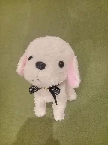 새상품급 세가토이즈 코코 거꾸로 서기