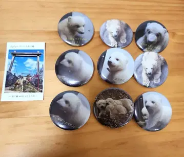 북극곰 쌍둥이 캔뱃지 마그넷 야기야마 동물공원 덤 포함