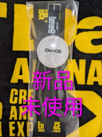 Da-iCE En Arena 2025 팔찌 라이트