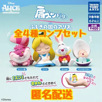 어깨 쿵 Fig. 이상한 나라의 앨리스 컴프