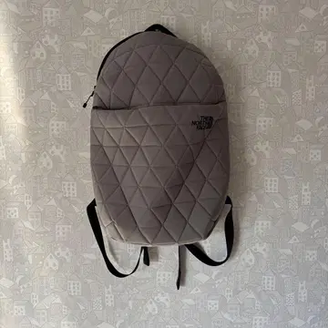 THE NORTH FACE 그레이 백팩