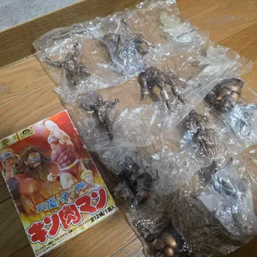 초상혁명 피규어 컬렉션 근육맨 꿈의 초인 태그편 (브론즈 컬러 4종)