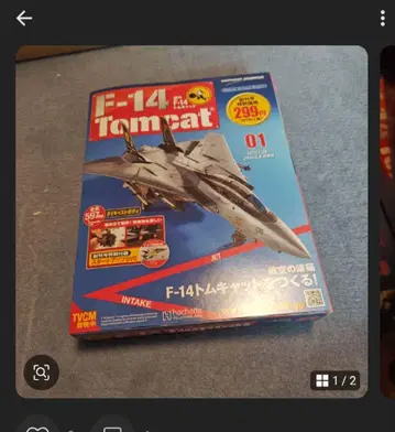 2 아셰트 F-14 Tomcat 프라모델 한정판