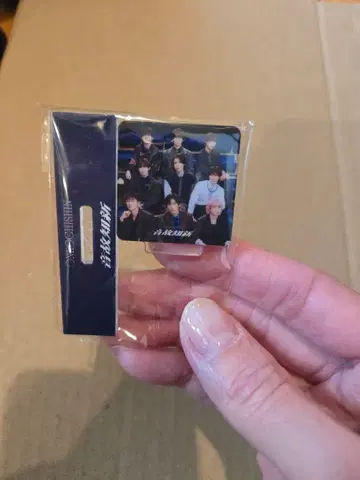 SnowMan 음고지신 일반ver 특전