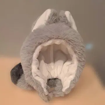 PNCA &TEAM 응원봉*라이트 스틱*커버*케이스