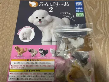 펀바리누 2 노멀 5종 전종 컴플리트