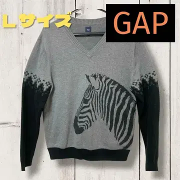 Gap 제브라 패턴 V넥 니트
