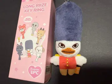 LONG RIIZE KEY RING 키링 소희 돌변 발길이