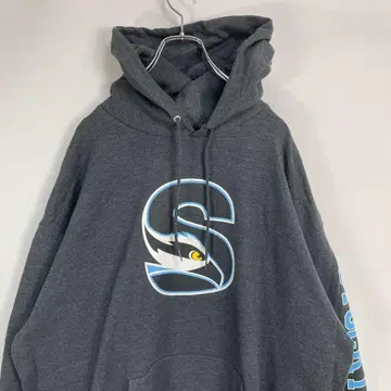 챔피온 팀 로고 프린트 그레이 맨투맨 후드티 2XL