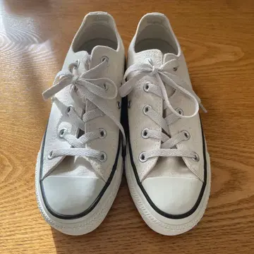 converse 올스타 미사용 23.5cm