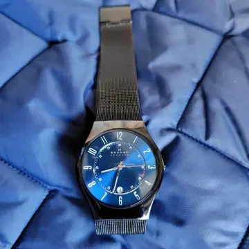 SKAGEN 남성용 손목시계 파랑 다이얼
