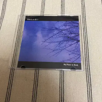 My Hair is Bad 2nd 데모 결정 못해