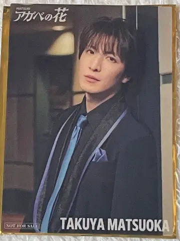 MATSURI 마츠오카 타쿠야 클리어 카드 아가베 꽃