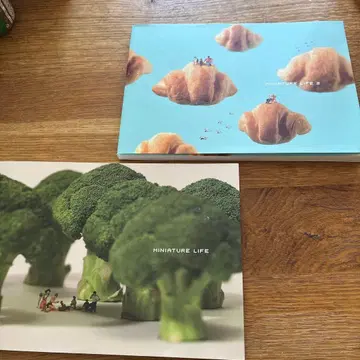 다나카 타츠야 MINIATURE LIFE