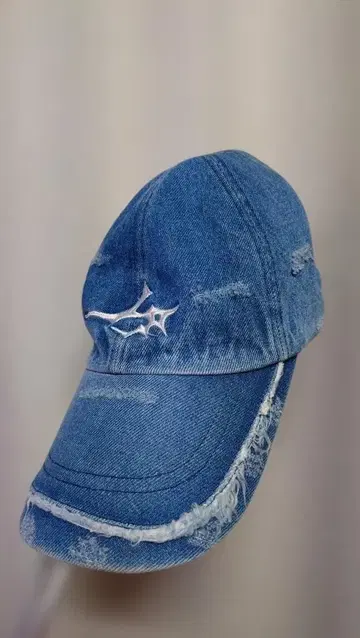DESTROYED LOGO CAP