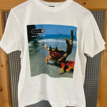 prodigy / THE FAT OF THE LAND / 밴딩 티셔츠