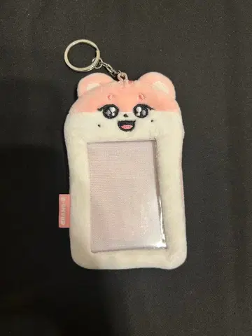 IVE minive 트레이딩 카드 케이스 키링 이서