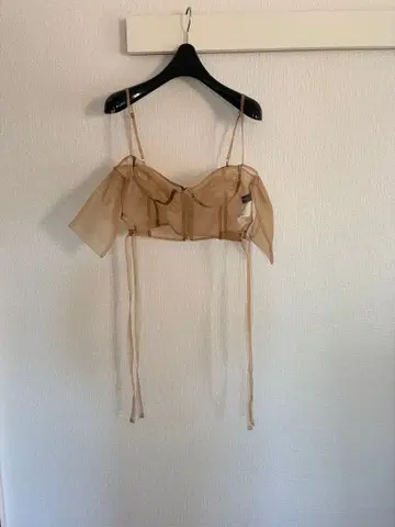 maison special 뷔스티에 시스루