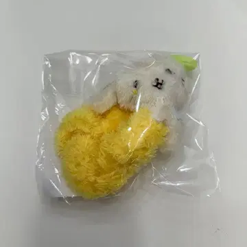 NCTWISH MD 료 료료 스크런치