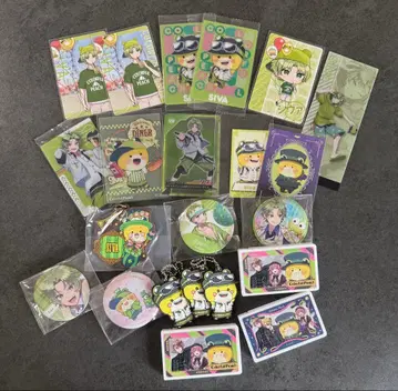 컬러풀 피치 시바 묶음 판매