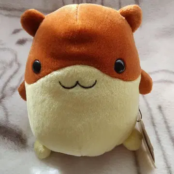 햄스터 HIROKUN HOUSE 레어