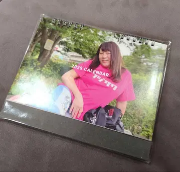 거의 새상품 몬조리 후지사와 나나 2025년 탁상 달력