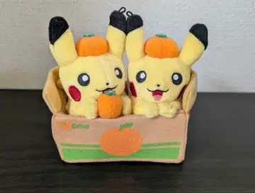 페어 피카츄와 에히메 귤 에히메