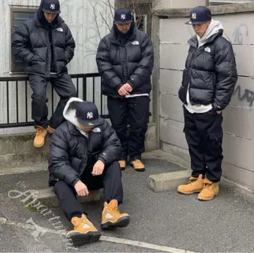 THE NORTH FACE 1996 레트로 눕시 the apartment