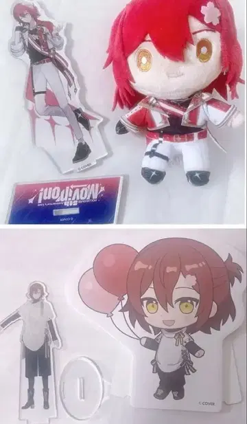 꽃 피는 미야비 묶음 판매