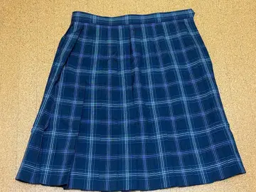 네이비와 퍼플 체크 플리츠 스커트