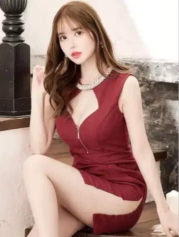 트위드 비주 드레스 jewels