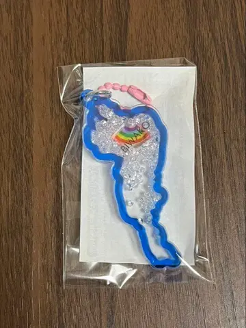 인기 색상 비와코 아크릴 키링