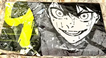 이 블루 록 전시회 빅 타월