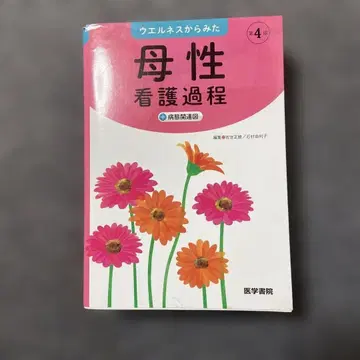 웰니스에서 본 모성 간호 과정 + 병태 관련도