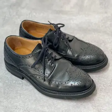 버윅 윙팁 UK5.5/24.5cm