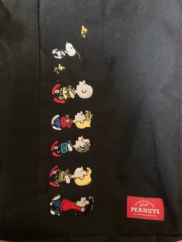 피넛 스누피 스퀘어형 럭색