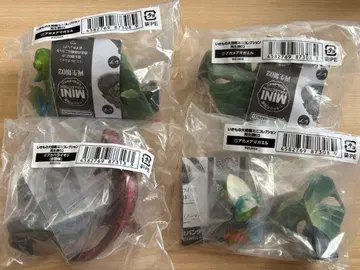 생물대도감 양서류 02 아카하라이모리