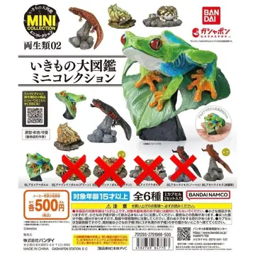 생물대도감 양서류02 아카하라이모리 레어