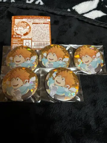 하이큐!! 홀로 캔뱃지 A&W 히나타 쇼요