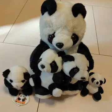 팬더 봉제 인형 5개 세트