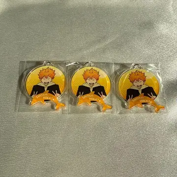 하이큐!! 아쿠아리움 캐러밴 트레이딩 아크릴 키링 히나타 쇼요