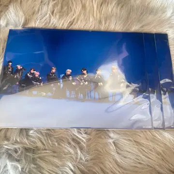 초특급 NINE LIVES Amazon 혜택 A4 비주얼 시트 3매